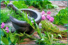 Herbes médicinales pour restaurer la puissance masculine